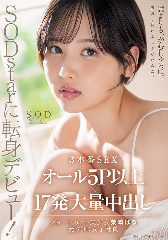柴崎はる(柴崎春，Shibasaki-Haru)作品START-043介绍及封面预览 - 爱享多