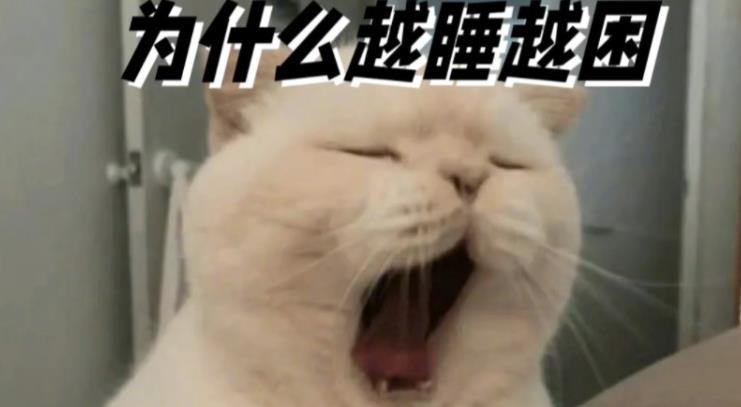 为什么睡觉，越睡越困？越睡越累？ - 爱享多