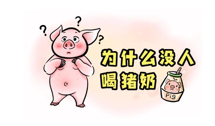 猪奶为什么没人喝？ - 爱享多